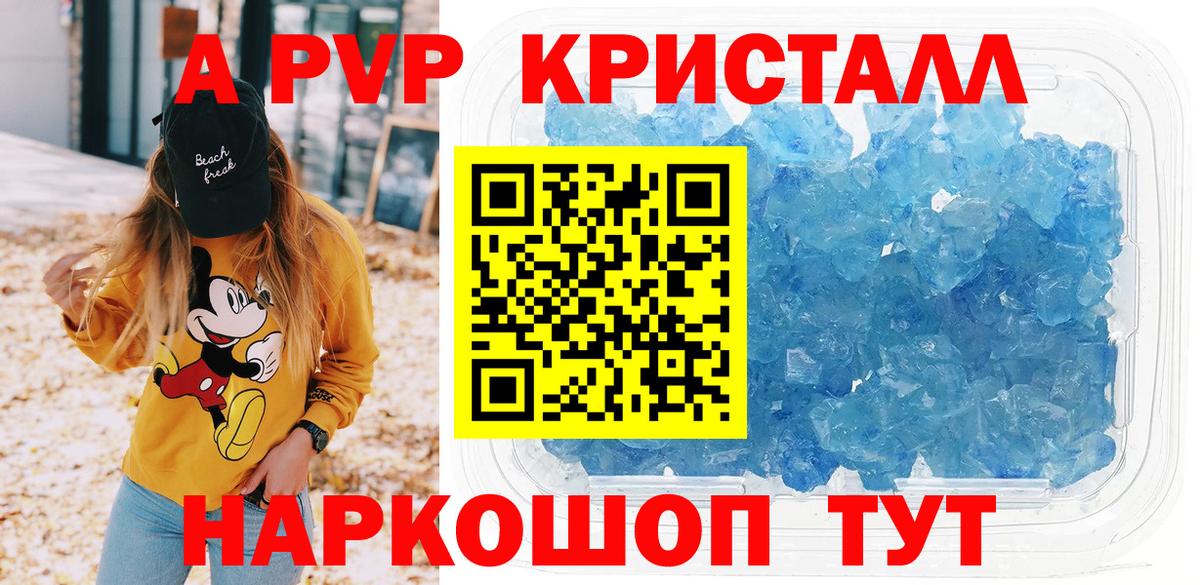 Альфа ПВП СК КРИС Новозыбков