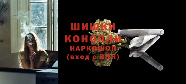 молекула духа Новодвинск