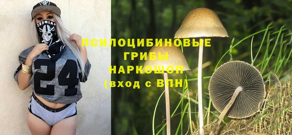 дурь Нея