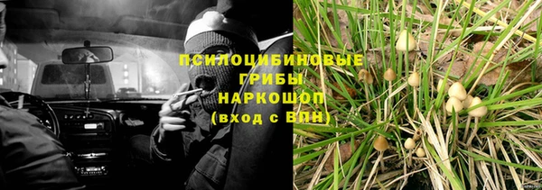 молекула духа Новодвинск