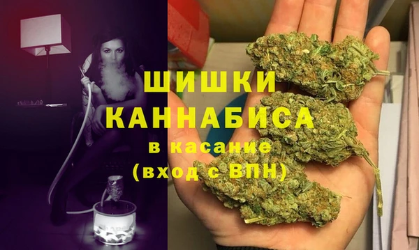 дурь Нея