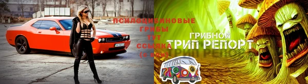 дурь Нея
