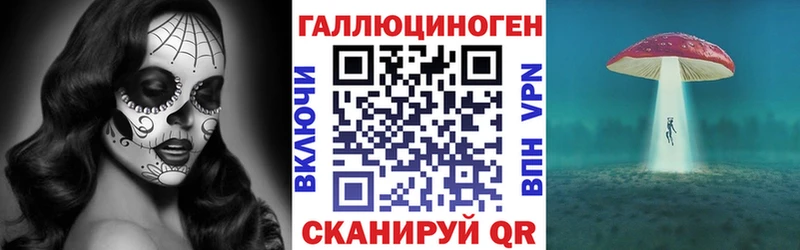 Галлюциногенные грибы Psilocybe  МЕГА онион  Новозыбков 