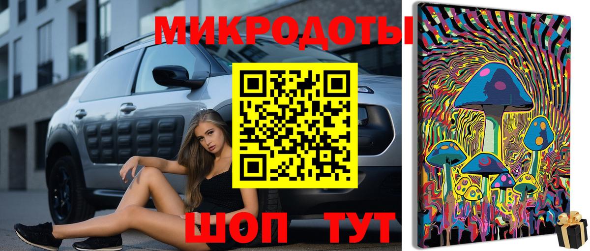 Новозыбков  Псилоцибиновые грибы Magic Shrooms  Вход с VPN 