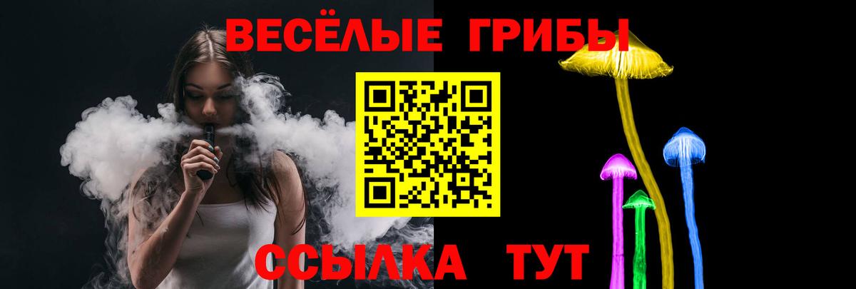 Галлюциногенные грибы мицелий Новозыбков