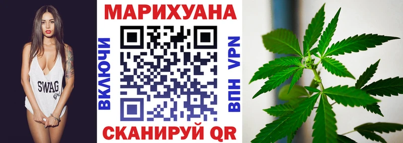 Шишки марихуана марихуана Новозыбков